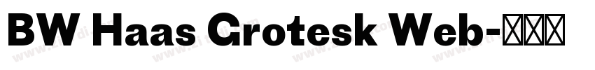 BW Haas Grotesk Web字体转换